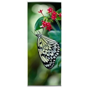 Banner stand