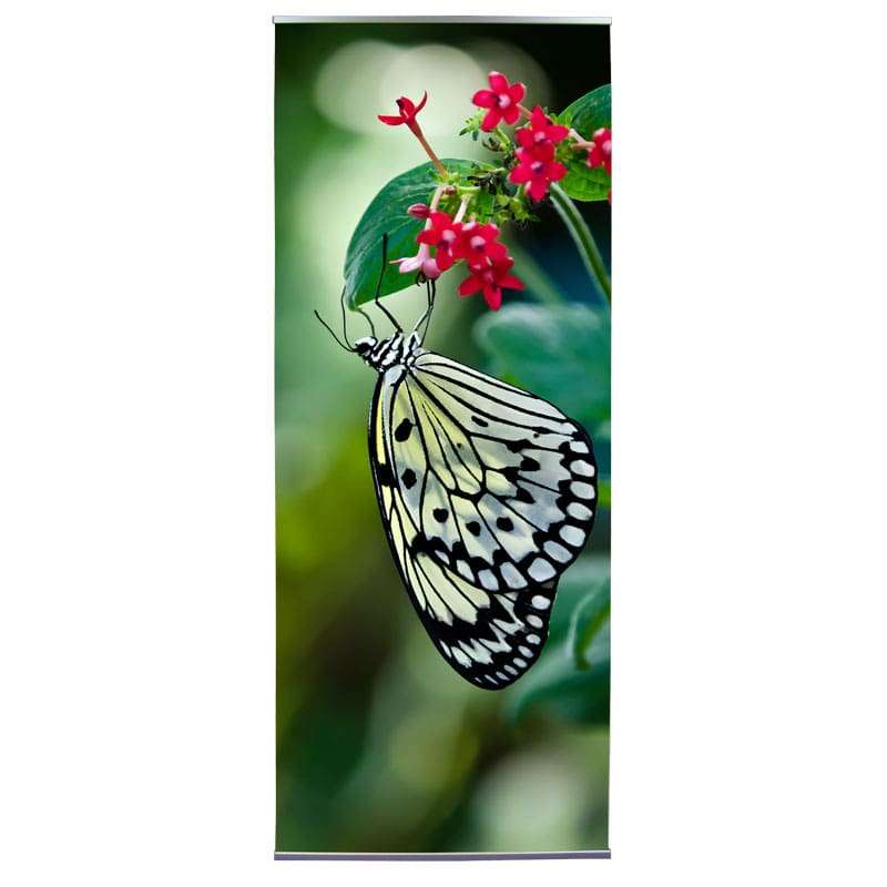 L Banner Stand 36" x 86.25"